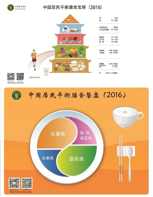 中国居民平衡膳食宝塔,餐盘,算盘图形